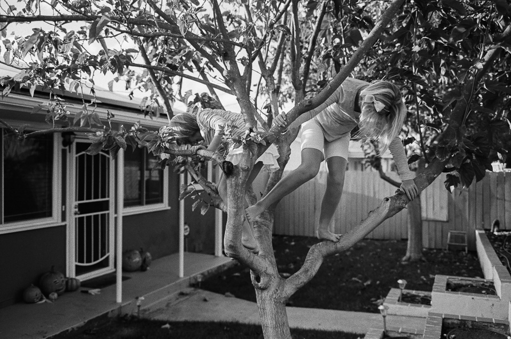 Young girls (Kate and Alex) playing in the tree in the front yard. ©William Bay Photographic Arts.