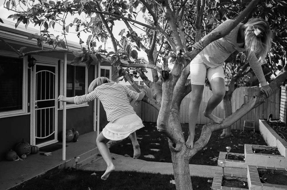 Young girl (Alex) jumping from the low branches of a tree. ©William Bay Photographic Arts.