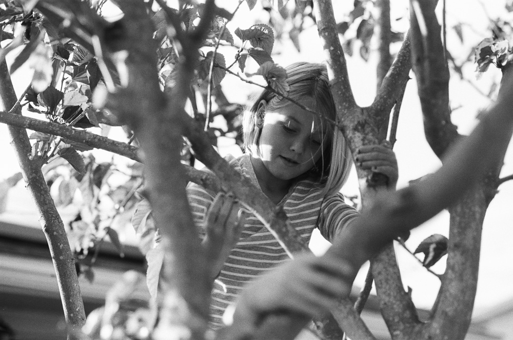Close up portrait of young girl (Alex) in tree. ©William Bay Photographic Arts.